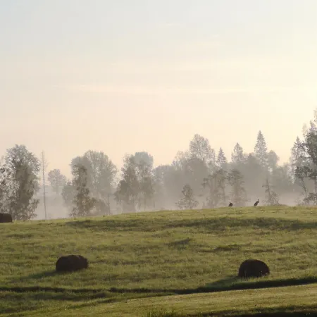 Nyaraló Atputas Vieta Upes Sausites Sidrabiņi